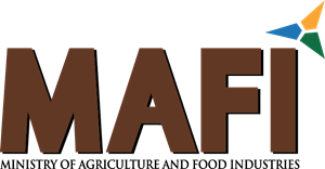 MAFI