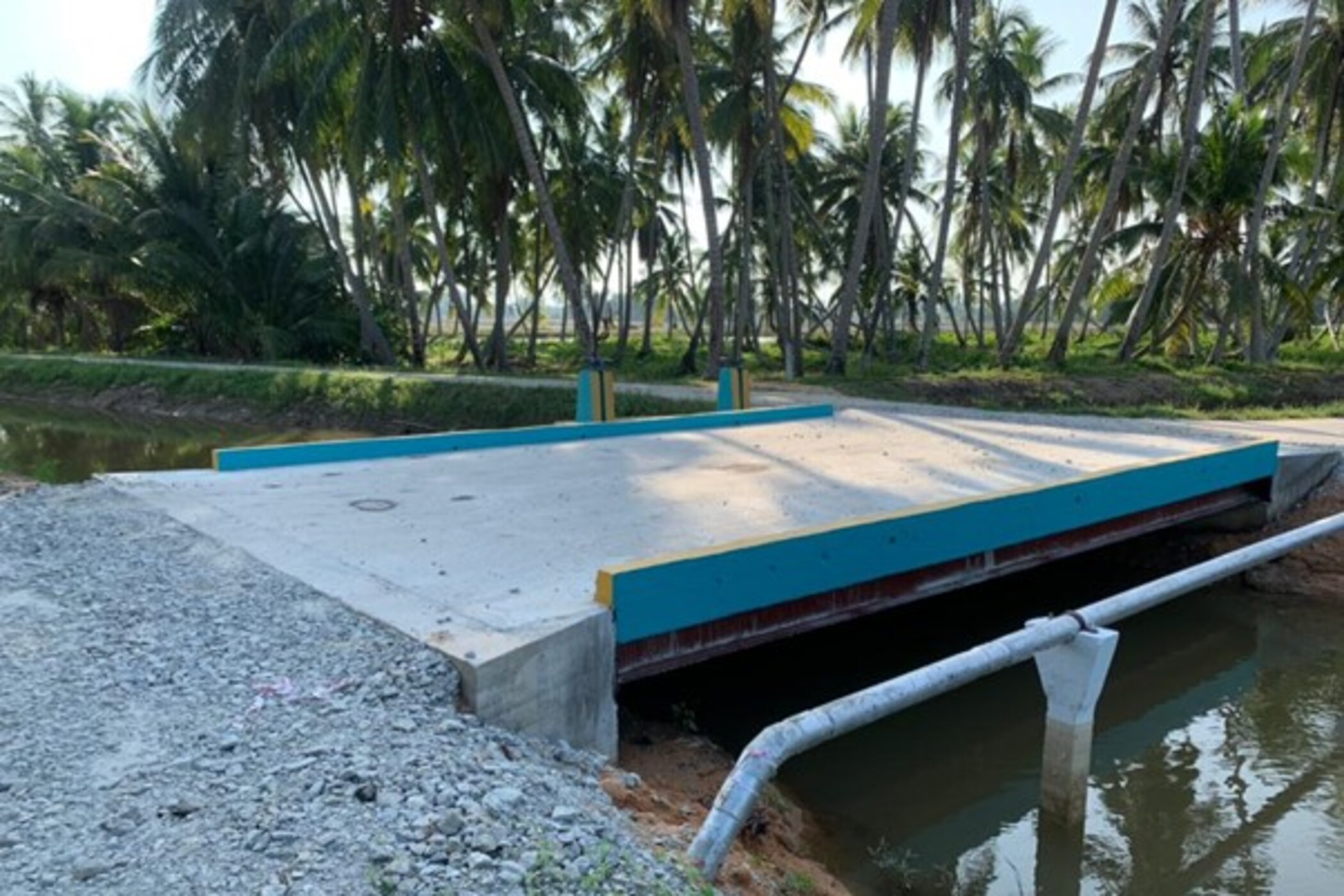 Picture5