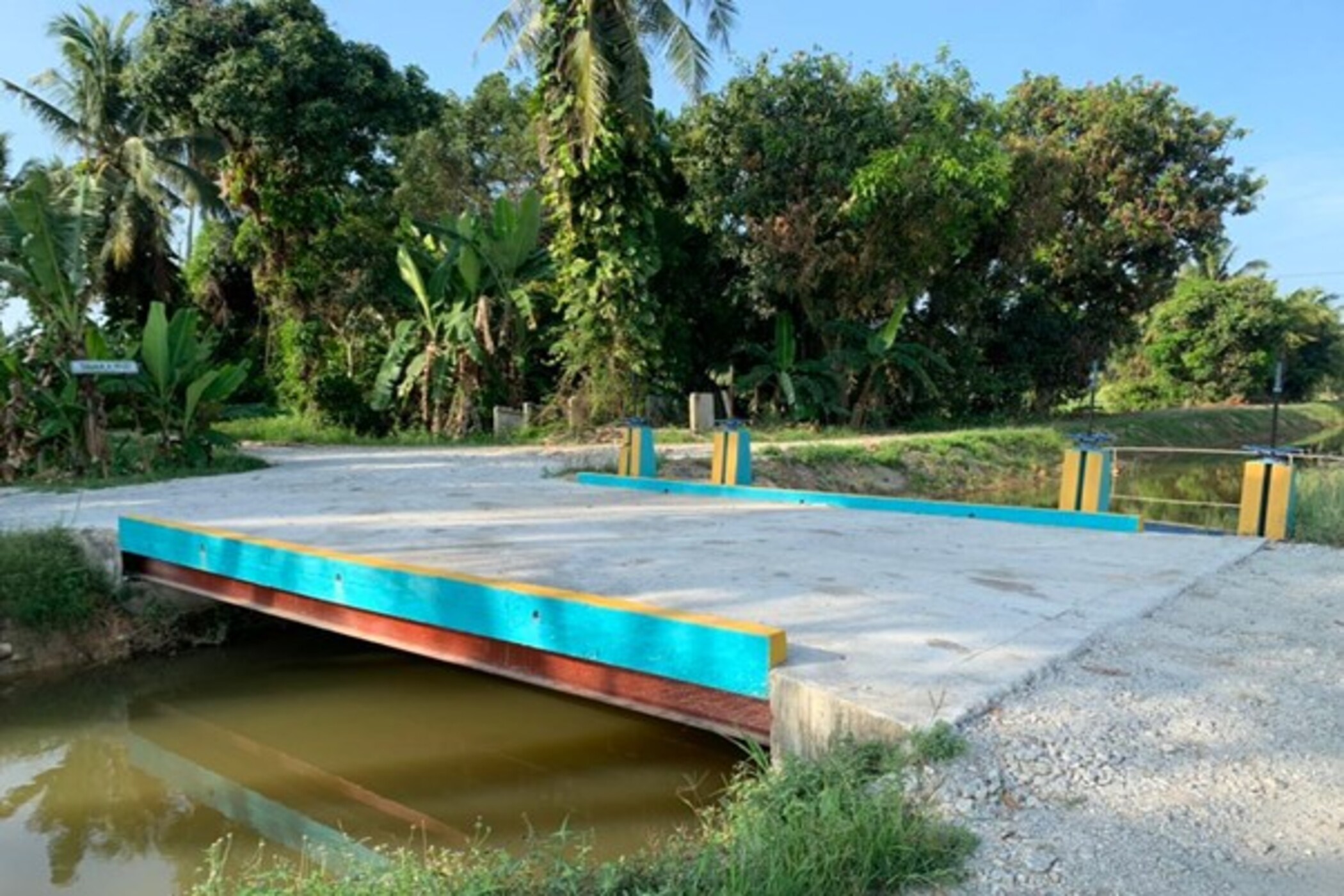 Picture6
